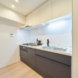 作業スペースが広く、豊富な収納が魅力の壁付けシステムキッチンです。キッチン