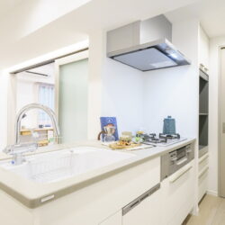 キッチンは人気のオープン型でシームレスな空間です。お部屋に調和したグレージュの天板を採用したトクラス製システムキッチンです。キッチン