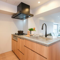 キッチンは田中工藝製のオリジナルシステムキッチンです。大人モダンなストーン調の重厚感溢れる天板がインテリアの一部としてお部屋の雰囲気に溶け込みます。キッチン